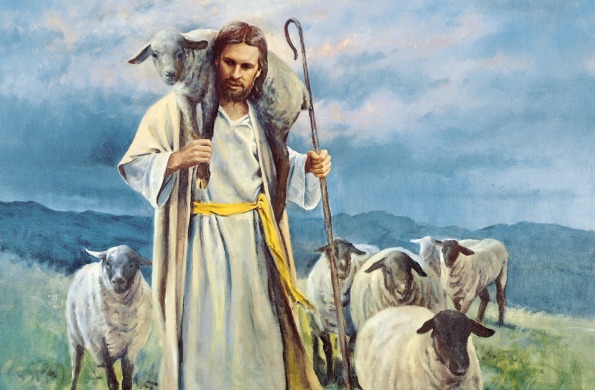 Jesus Christ sheep
