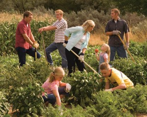 Mormon Gardening