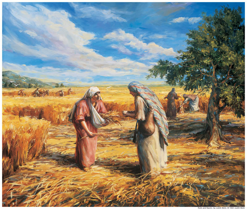 Ruth gleaning fiields