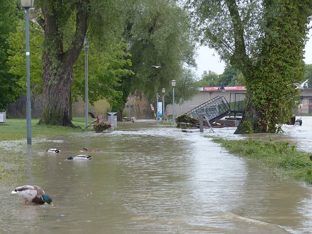 high water in flooded area