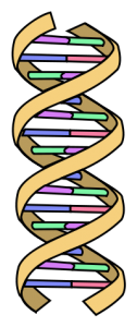 DNA symbol