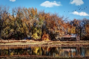 cabin behind a lake