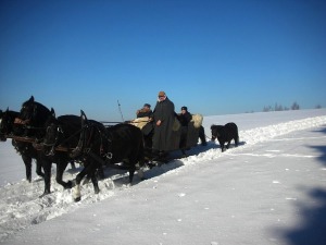 horses pulling sleigh