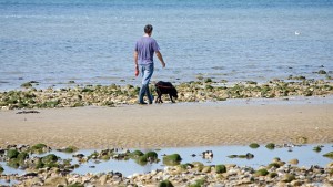 man and dog walking on beach