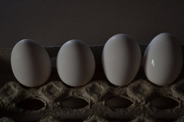 pierced eggs on carton