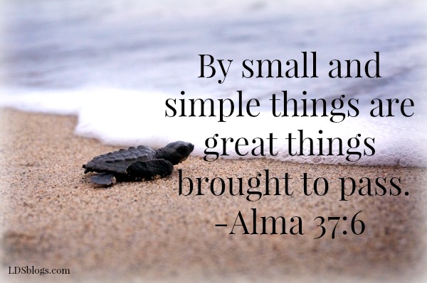 by small and simple things are great things brought to pass.