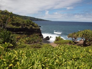hawaii-180011_640