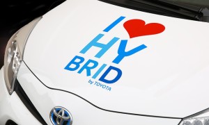 hybrid-428183_640