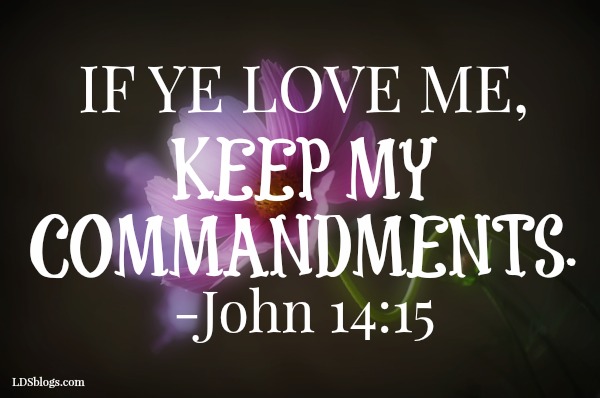 Trust The Commandments