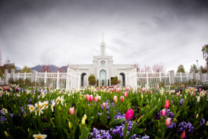 mount-timpanogos-temple-lds-994445-gallery