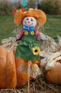 scarecrow-379902_640