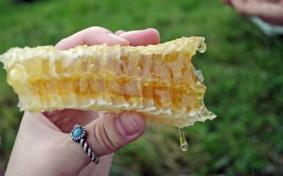 Health Benefits of Honey
