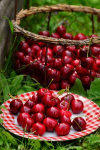 cherries-1503977_640