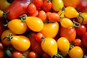 tomatoes-1671327_640