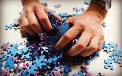 What a Puzzle Vision Taught Me about Diverse Unity
