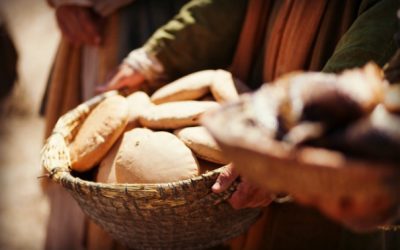 Bread of Life: Do Hard Doctrines Cause Offense or Faith?