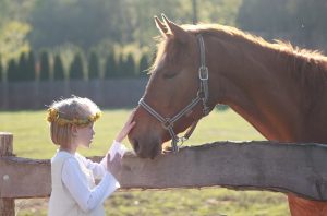 horse little girl flower crown