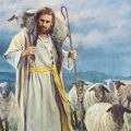 Jesus Christ sheep