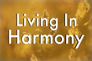 Harmonizing My Home: Marie Kondo Through LDS Eyes